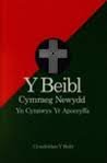 New welsh bible for sale  Delivered anywhere in UK