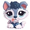 Husky puppy 2036 for sale  Delivered anywhere in USA 