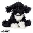 Portuguese water dog for sale  Delivered anywhere in USA 