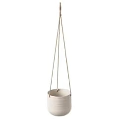 Kapkrusbär hanging planter for sale  Delivered anywhere in UK
