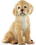 Lenox golden retriever for sale  Delivered anywhere in USA 