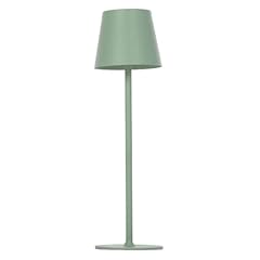 Light professional lampada usato  Spedito ovunque in Italia 