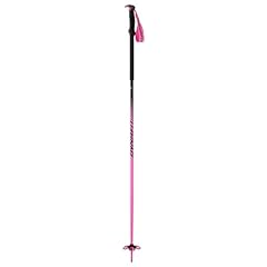 Dynafit tour pole gebraucht kaufen  Wird an jeden Ort in Deutschland