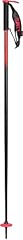 Line pin ski for sale  Delivered anywhere in USA 
