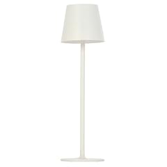 Light professional lampada usato  Spedito ovunque in Italia 