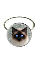 Siamese cat codey46 for sale  Delivered anywhere in UK