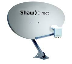 Shaw direct 60cm for sale  Delivered anywhere in USA 