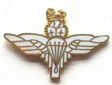 Parachute regiment paras for sale  Delivered anywhere in UK