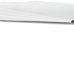 Sartorius linters 100 usato  Spedito ovunque in Italia 