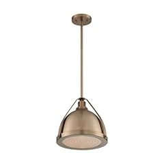 Nuvo lighting 7202 for sale  Delivered anywhere in USA 