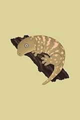 Leachianus gecko leachie for sale  Delivered anywhere in USA 