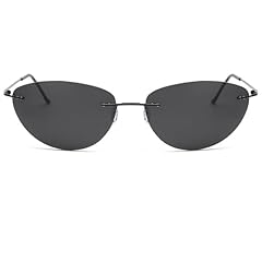 Herren sonnenbrille polarisier gebraucht kaufen  Wird an jeden Ort in Deutschland