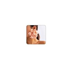 Exaggerated satin rose for sale  Delivered anywhere in USA 