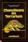 Chamäleons terrarium gebraucht kaufen  Wird an jeden Ort in Deutschland