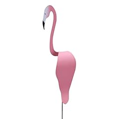 Florida dancing birds for sale  Delivered anywhere in UK