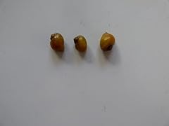 Live gold mystery for sale  Delivered anywhere in UK