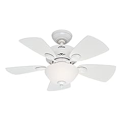 Hunter fan company for sale  Delivered anywhere in USA 