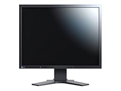 Eizo flexscan s2133 usato  Spedito ovunque in Italia 