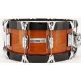 Taye studio maple for sale  Delivered anywhere in USA 