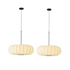 Entheronic suspension japonais d'occasion  Livré partout en France