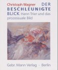 Beschleunigte blick hann gebraucht kaufen  Wird an jeden Ort in Deutschland