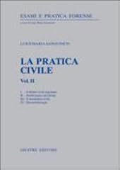 Pratica civile. diritto usato  Spedito ovunque in Italia 