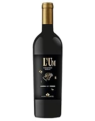 Umbria igt rosso usato  Spedito ovunque in Italia 