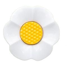 Daisy shank flower for sale  Delivered anywhere in UK