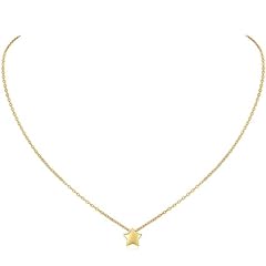 Chicsilver goldkette kleiner gebraucht kaufen  Wird an jeden Ort in Deutschland
