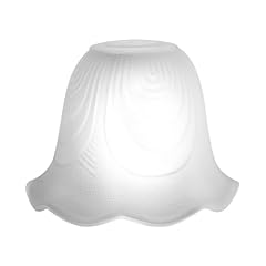 Glass shade light for sale  Delivered anywhere in USA 
