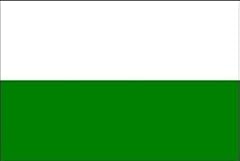 Fahne flagge sachsen gebraucht kaufen  Wird an jeden Ort in Deutschland