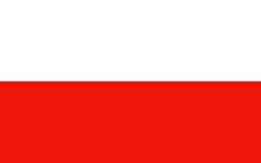 Magflags flagge large gebraucht kaufen  Wird an jeden Ort in Deutschland