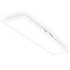 Briloner deckenlampe bad gebraucht kaufen  Wird an jeden Ort in Deutschland