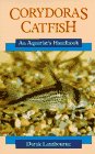 Corydoras and catfish d'occasion  Livré partout en Belgiqu