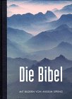 Bibelausgaben bibel anselm gebraucht kaufen  Wird an jeden Ort in Deutschland