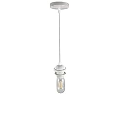 Jorunhe ceiling light for sale  Delivered anywhere in USA 