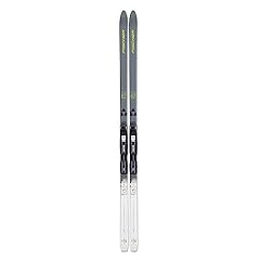 Fischer adult spider for sale  Delivered anywhere in USA 