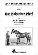 Holsteiner pferd holsteiner gebraucht kaufen  Wird an jeden Ort in Deutschland