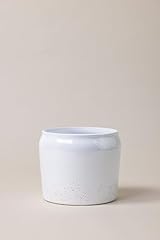 Plantpatio vaso per usato  Spedito ovunque in Italia 