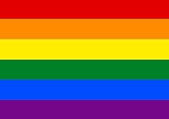 Trend regenbogen fahne gebraucht kaufen  Wird an jeden Ort in Deutschland