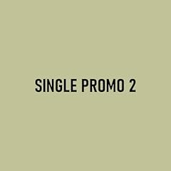 Single promo 2 gebraucht kaufen  Wird an jeden Ort in Deutschland