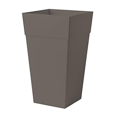 Bloem finley tall for sale  Delivered anywhere in USA 