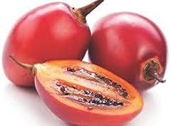 Tamarillo tree tomato for sale  Delivered anywhere in UK