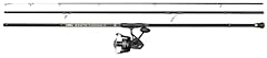 Penn canna surfcasting usato  Spedito ovunque in Italia 