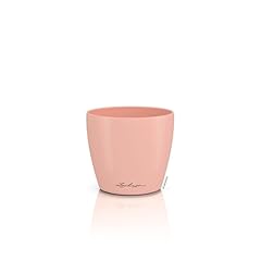 Lechuza vaso tavolo usato  Spedito ovunque in Italia 