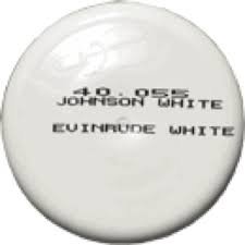 Johnson envirude white usato  Spedito ovunque in Italia 