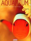 Aquarium gestaltung und d'occasion  Livré partout en Belgiqu