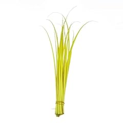 20pcs 55cm ostrich for sale  Delivered anywhere in UK