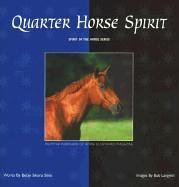 Quarter horse spirit d'occasion  Livré partout en Belgiqu