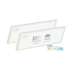Nuwatt pack 2x4 for sale  Delivered anywhere in USA 